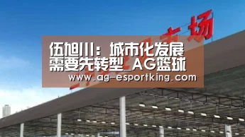 伍旭川:城市化发展需要先转型_AG篮球(图2) AG赛事