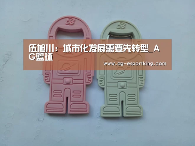 伍旭川:城市化发展需要先转型_AG篮球(图1) AG足球