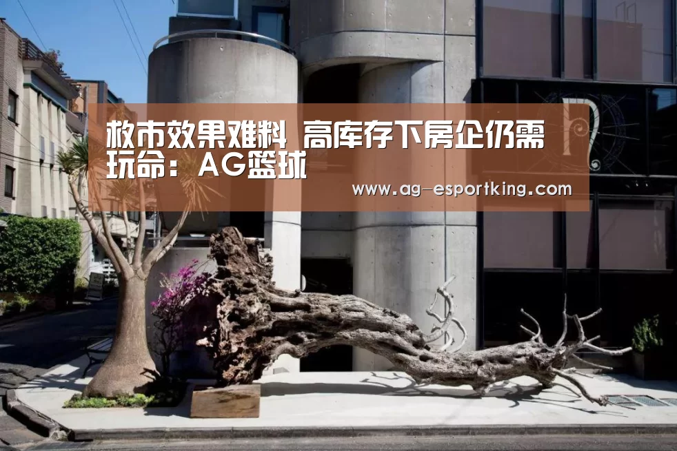 救市效果难料 高库存下房企仍需玩命:AG篮球(图1) AG足球