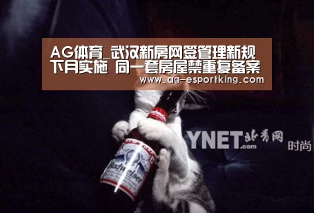 AG篮球