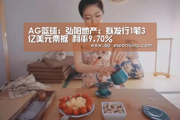 AG篮球:弘阳地产:拟发行1笔3亿美元票据 利率9.70%(图1) AG篮球